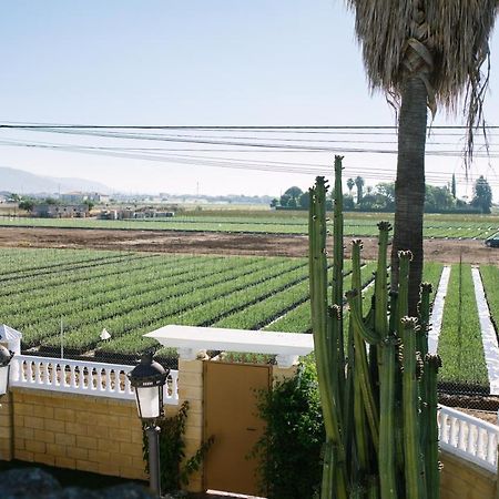 Casa Luxury "El Olivo De Cordoba" Con Jacuzzi Y Parking Privado Guest House Exterior photo